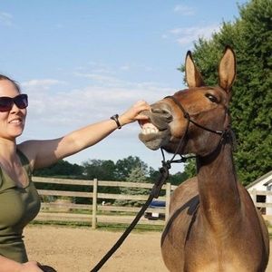 Meet your Posher, Christina